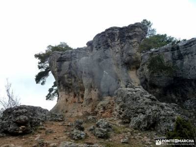 Nacimiento Río Cuervo;Las Majadas;Cuenca;hayedo montejo monte hijedo refugio de la renclusa irati n